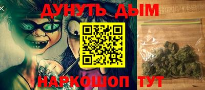гидра Краснодар