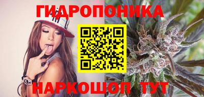 гидра Краснодар