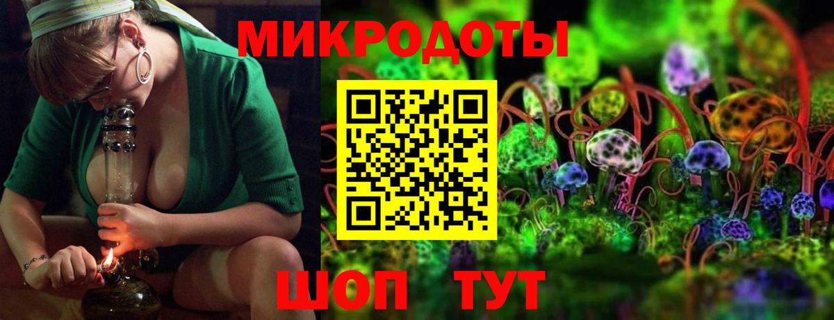 Псилоцибиновые грибы мицелий Кохма