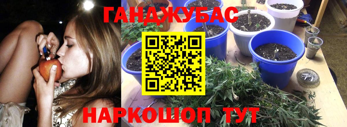 Канабис марихуана  Вход с VPN  Конопля OG Kush  Кохма  Бошки марихуана план 
